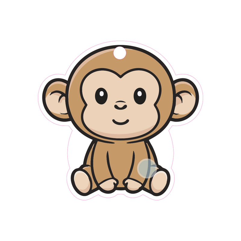 SlimTag Buddy
